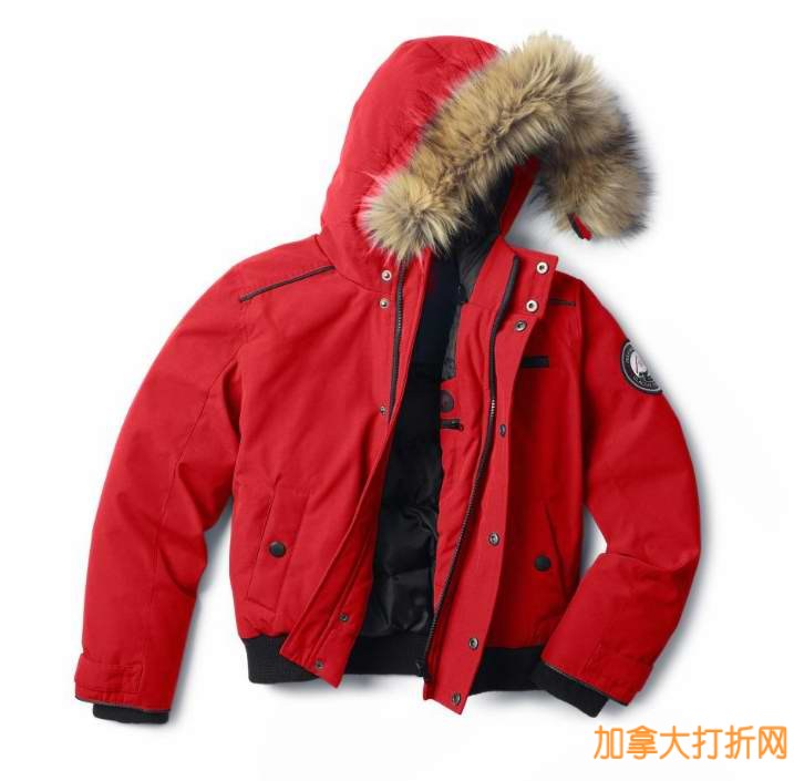 Sears多款玩具及Alpinetek儿童羽绒服4.5折起限时特卖，满24元立减10元！仅限今日！