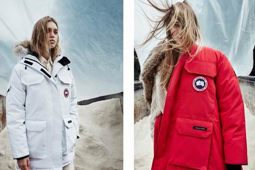 Canada goose discount 加拿大 鹅