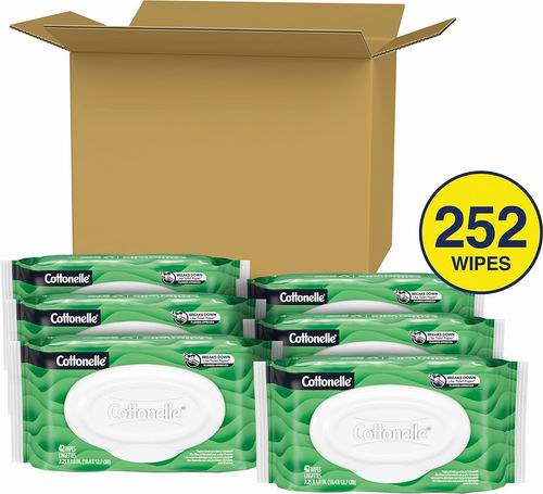  Cottonelle GentlePlus 可溶解芦荟湿巾 42片× 6包 14.23加元（原价 17.49加元）