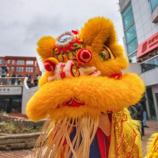  春节去哪儿玩？多伦多唐人街庆典让你嗨翻周末！多个购物中心舞龙舞狮！