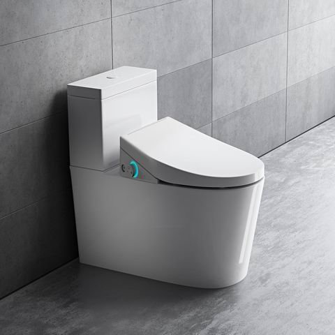  史低价！ComfyBidet 高端智能马桶盖 249加元（原价 289加元）